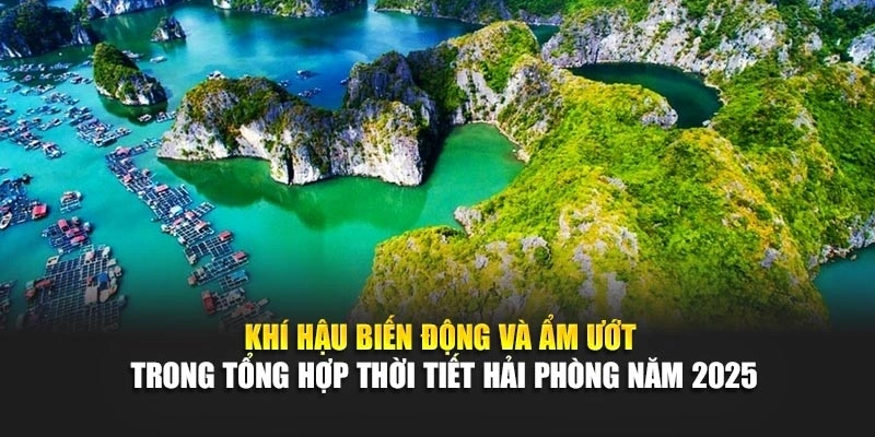 Khí hậu biến động và ẩm ướt trong tổng hợp thời tiết Hải Phòng năm 2025