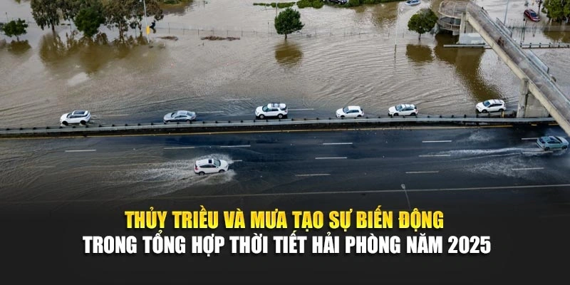 Thủy triều và mưa tạo sự biến động trong tổng hợp thời tiết Hải Phòng năm 2025