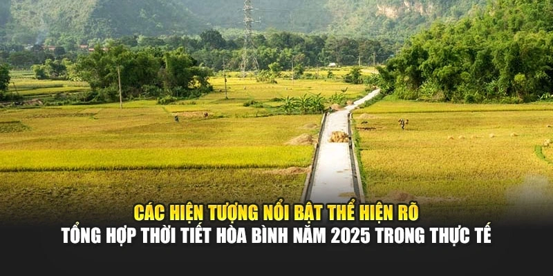 Các hiện tượng nổi bật thể hiện rõ tổng hợp thời tiết Hòa Bình năm 2025 trong thực tế