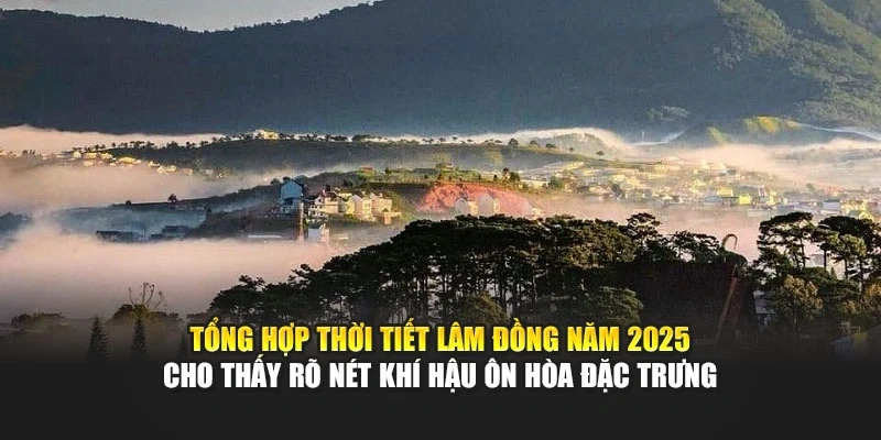 Tổng hợp thời tiết L&acirc;m Đồng năm 2025 cho thấy r&otilde; n&eacute;t kh&iacute; hậu &ocirc;n h&ograve;a đặc trưng