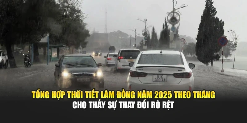 Tổng hợp thời tiết L&acirc;m Đồng năm 2025 theo th&aacute;ng cho thấy sự thay đổi r&otilde; rệt
