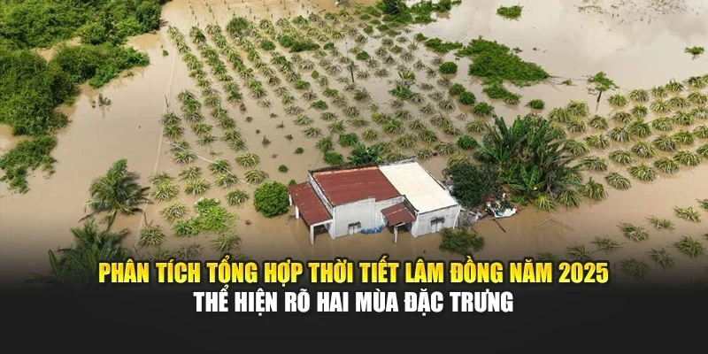 Ph&acirc;n t&iacute;ch tổng hợp thời tiết L&acirc;m Đồng năm 2025 thể hiện r&otilde; hai m&ugrave;a đặc trưng
