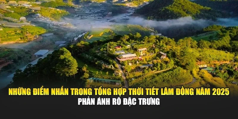 Những điểm nhấn trong tổng hợp thời tiết L&acirc;m Đồng năm 2025 phản &aacute;nh r&otilde; đặc trưng