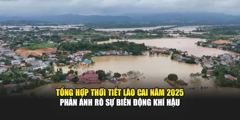 Tổng hợp thời tiết Lào Cai năm 2025 phản ánh rõ sự biến động khí hậu