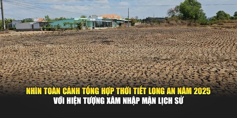 Nh&igrave;n to&agrave;n cảnh tổng hợp thời tiết Long An năm 2025 với hiện tượng x&acirc;m nhập mặn lịch sử