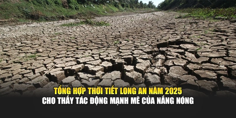 Tổng hợp thời tiết Long An năm 2025 cho thấy t&aacute;c động mạnh mẽ của nắng n&oacute;ng