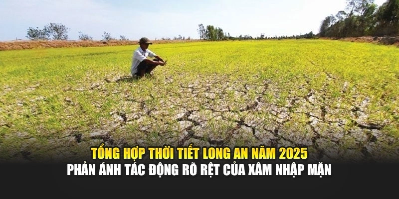 Tổng hợp thời tiết Long An năm 2025 phản &aacute;nh t&aacute;c động r&otilde; rệt của x&acirc;m nhập mặn