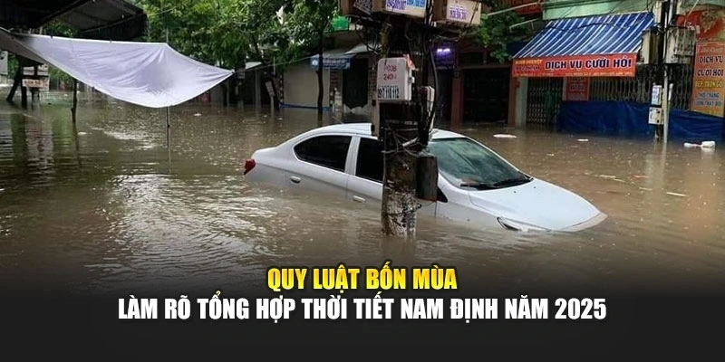 Quy luật bốn mùa làm rõ tổng hợp thời tiết Nam Định năm 2025