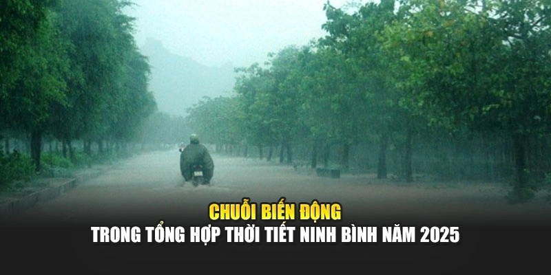 Chuỗi biến động trong tổng hợp thời tiết Ninh Bình năm 2025