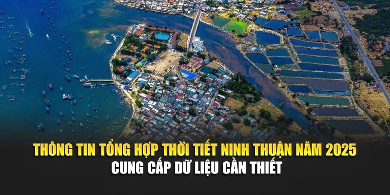 Thông tin tổng hợp thời tiết Ninh Thuận năm 2025 cung cấp dữ liệu cần thiết
