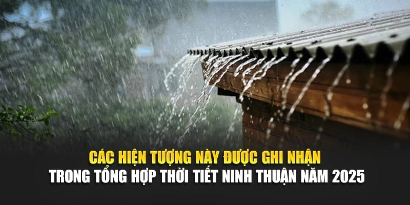 Các hiện tượng này được ghi nhận trong tổng hợp thời tiết Ninh Thuận năm 2025