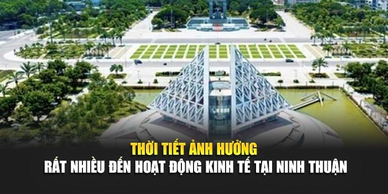 Thời tiết ảnh hưởng rất nhiều đến hoạt động kinh tế tại Ninh Thuận