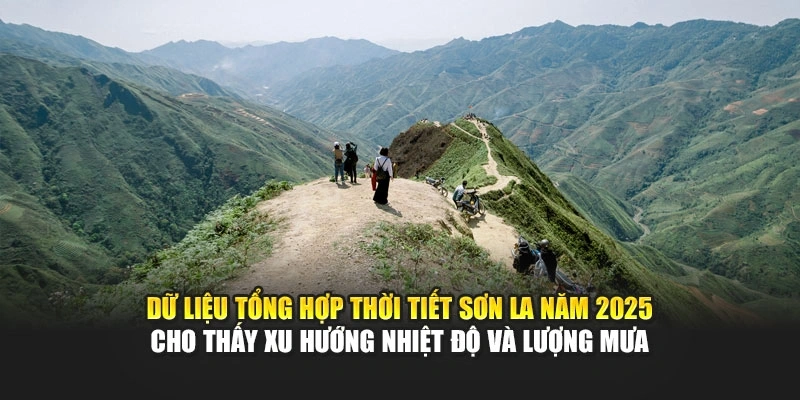 Dữ liệu tổng hợp thời tiết Sơn La năm 2025 cho thấy xu hướng nhiệt độ và lượng mưa