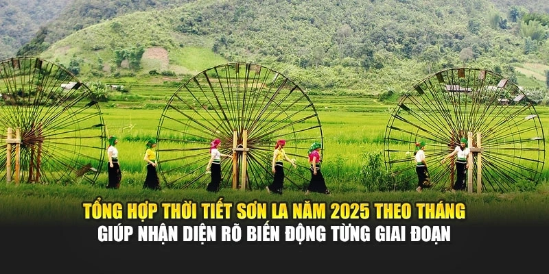 Tổng hợp thời tiết Sơn La năm 2025 theo tháng giúp nhận diện rõ biến động từng giai đoạn