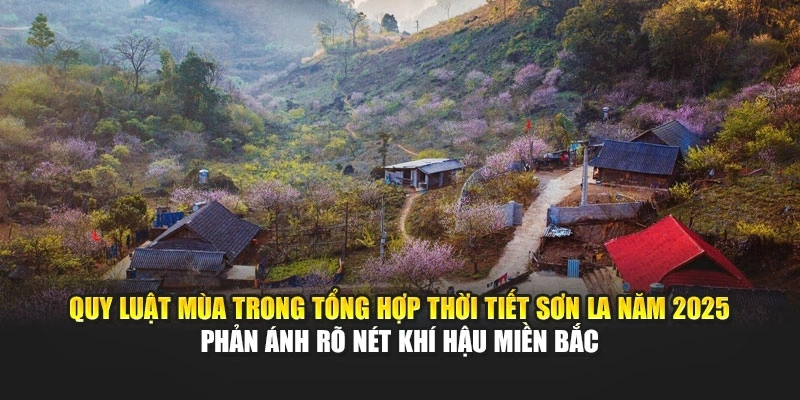 Quy luật mùa trong tổng hợp thời tiết Sơn La năm 2025 phản ánh rõ nét khí hậu miền Bắc