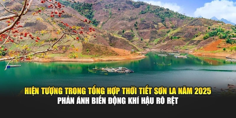 Hiện tượng trong tổng hợp thời tiết Sơn La năm 2025 phản ánh biến động khí hậu rõ rệt