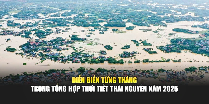 Diễn biến từng tháng trong tổng hợp thời tiết Thái Nguyên năm 2025