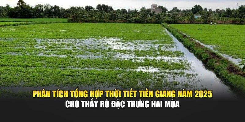Ph&acirc;n t&iacute;ch tổng hợp thời tiết Tiền Giang năm 2025 cho thấy r&otilde; đặc trưng hai m&ugrave;a