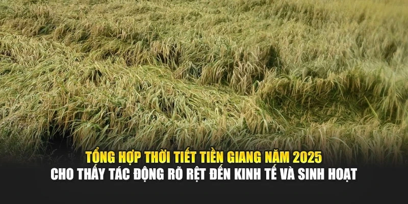 Tổng hợp thời tiết Tiền Giang năm 2025 cho thấy t&aacute;c động r&otilde; rệt đến kinh tế v&agrave; sinh hoạt