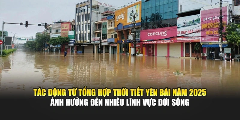 Tác động từ tổng hợp thời tiết Yên Bái năm 2025 ảnh hưởng đến nhiều lĩnh vực đời sống