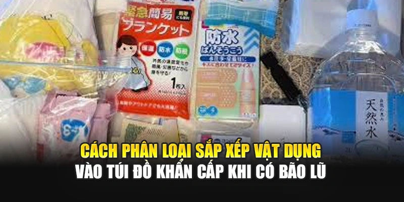 C&aacute;ch ph&acirc;n loại sắp xếp vật dụng v&agrave;o t&uacute;i đồ khẩn cấp khi c&oacute; b&atilde;o lũ