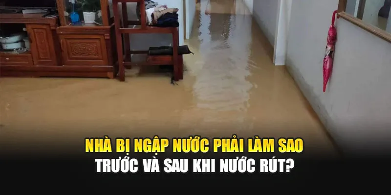 Cách Phòng Chống Lũ Lụt Và Ngập Úng Hiệu Quả