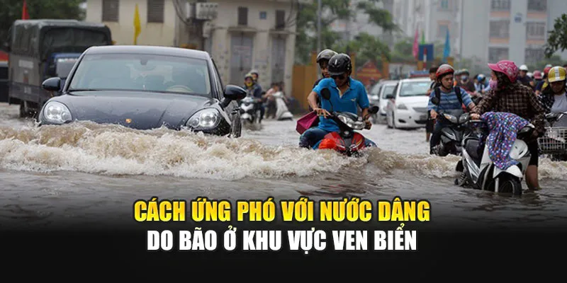Cách Ứng Phó Với Nước Dâng Do Bão Ở Khu Vực Ven Biển
