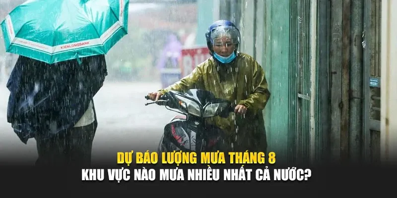 Dự Báo Lượng Mưa Tháng 8 Khu Vực Nào Mưa Nhiều Nhất Cả Nước?