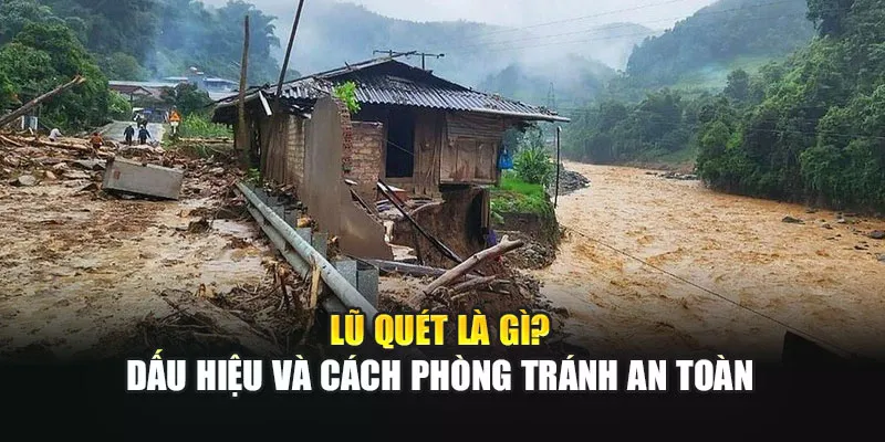 Lũ Quét Là Gì? Dấu Hiệu Và Cách Phòng Tránh An Toàn