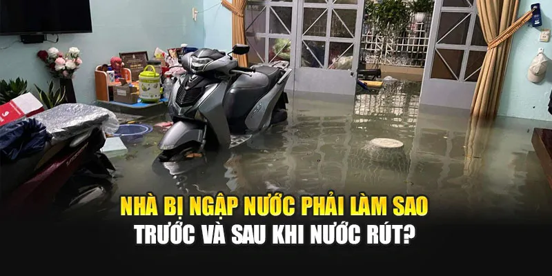 Nhà Bị Ngập Nước Phải Làm Sao Trước Và Sau Khi Nước Rút?