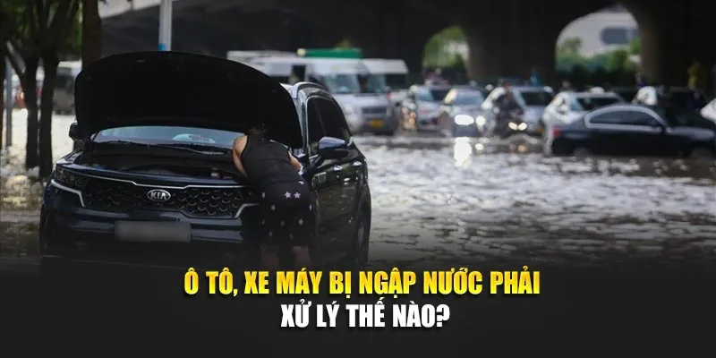 Ô Tô, Xe Máy Bị Ngập Nước Phải Xử Lý Thế Nào?