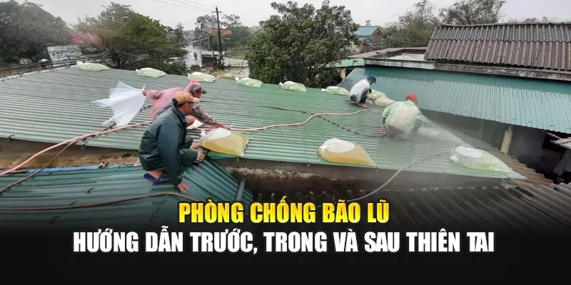Phòng Chống Bão Lũ: Hướng Dẫn Trước, Trong Và Sau Thiên Tai