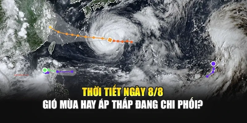 Thời Tiết Ngày 8 Tháng 8 Gió Mùa Hay Áp Thấp Đang Chi Phối?