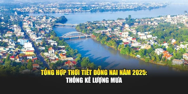 Tổng Hợp Thời Tiết Đồng Nai Năm 2025: Thống Kê Lượng Mưa