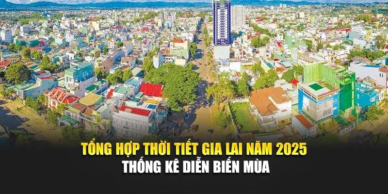 Tổng Hợp Thời Tiết Gia Lai Năm 2025 - Thống Kê Diễn Biến Mùa
