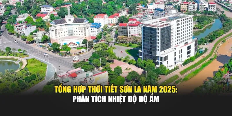 Tổng Hợp Thời Tiết Sơn La Năm 2025: Phân Tích Nhiệt Độ Độ Ẩm